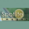 Spotlite Images