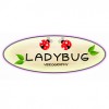 Ladybug Videography